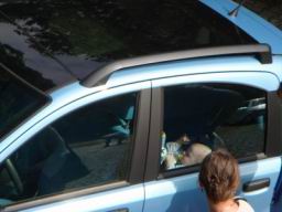 Resize of DSC00401.JPG